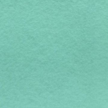 Fieltro Fieltro Liso Verde Menta