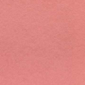Fieltro Fieltro Liso Rosa Medio