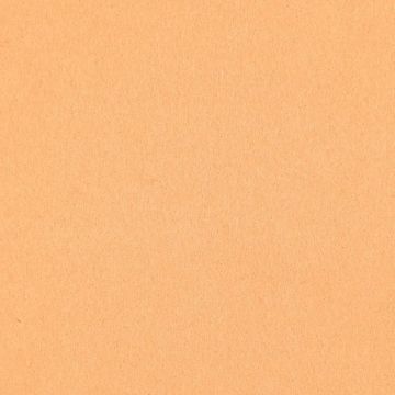 Fieltro Fieltro Liso Café Carne