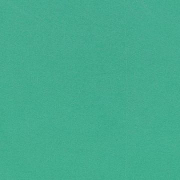 Forro Poliseda Liso Verde Bandera