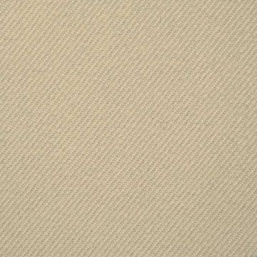 Gabardina Casa Blanca Liso Cafe Beige