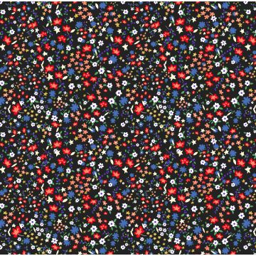 Brush Raya Estampado Liberty Negro