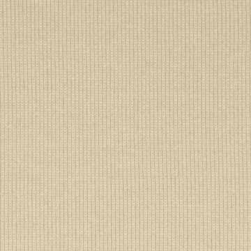 Poliester Elastano Liso Hueso