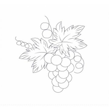 Manta para Bordar Frutas Hueso