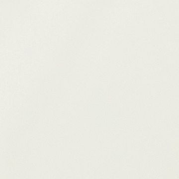 Organza Lisa Liso Hueso