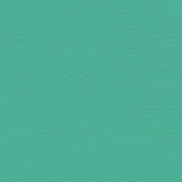 Organza Lisa Liso Verde Bandera