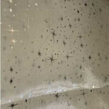 Organza Estrellas Liso Hueso