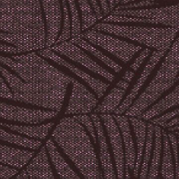 Película Transparente 46 cm Hoja Café Chocolate | Meiwa