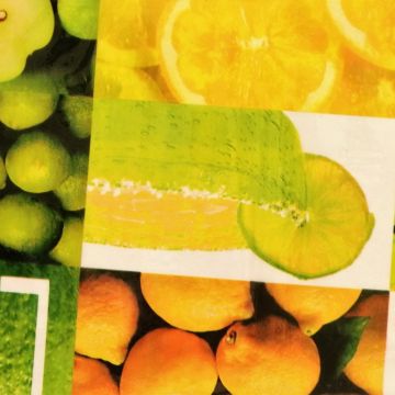 Plástico Cristamesa Cítricos Verde Limón