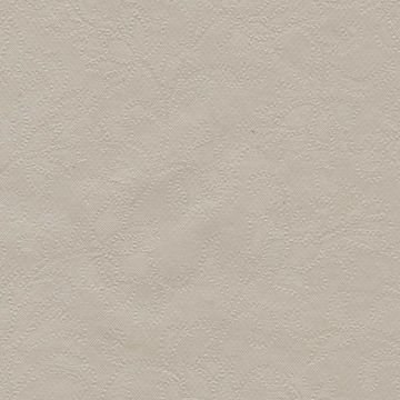 Plástico Jackard All Over Liso Hueso