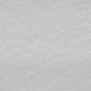 Polar Polar Liso Blanco