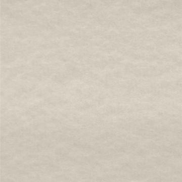 Polar Polar Liso Hueso