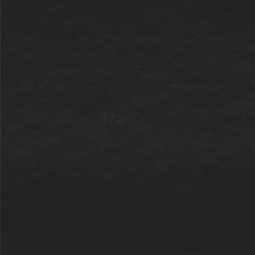 Polar Polar Liso Negro