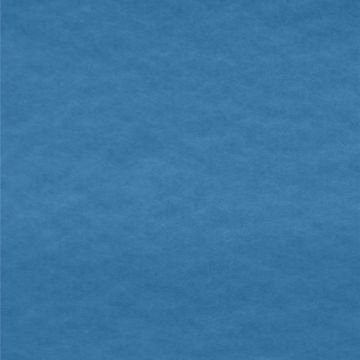 Polar Polar Liso Azul Turquesa