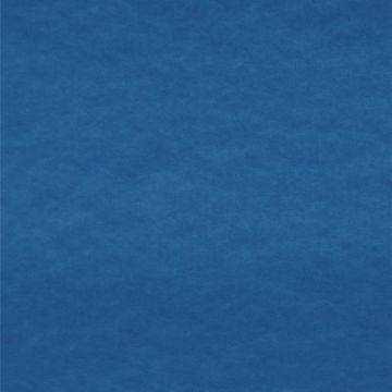 Polar Polar Liso Azul Rey