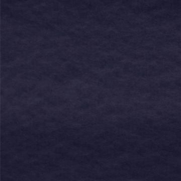 Polar Polar Liso Azul Marino