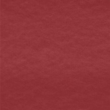 Polar Polar Liso Rojo