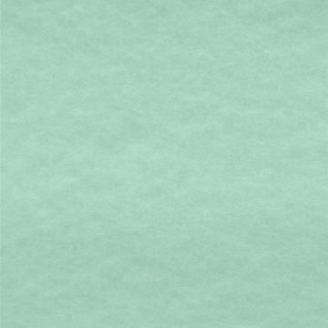 Polar Polar Liso Verde Menta