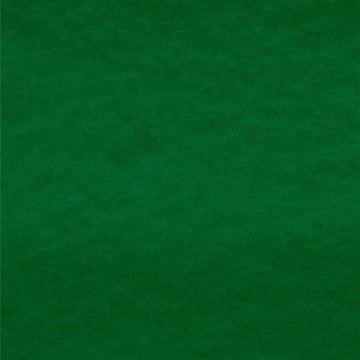 Polar Polar Liso Verde Botella