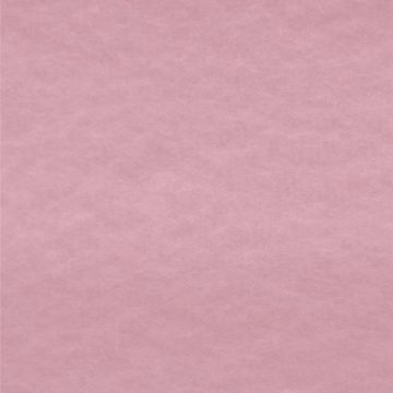 Polar Polar Liso Rosa Pastel