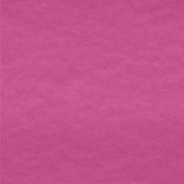 Polar Polar Liso Rosa Fiusha