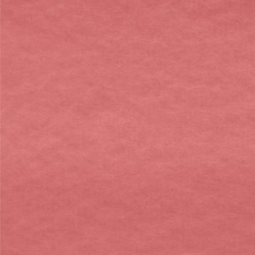 Polar Polar Liso Rosa Coral