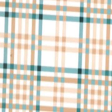 Polar Sabanero Estampado Cuadro Verde Agua