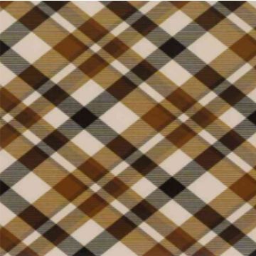 Polar Borrego Café Camel