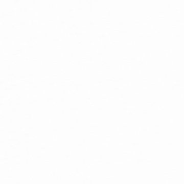 Popelina Popelina Liso Blanco