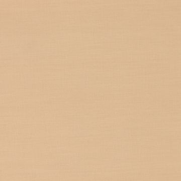 Popelina Popelina Liso Cafe Beige