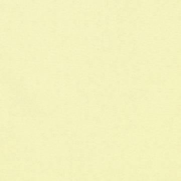 Razo Kim Liso Amarillo Canario