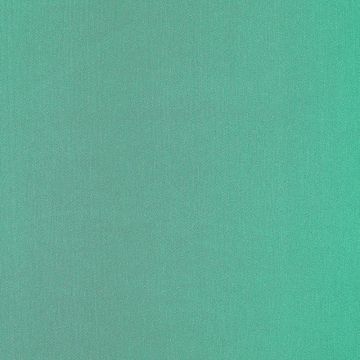 Razo Charmusse Liso Verde Bandera