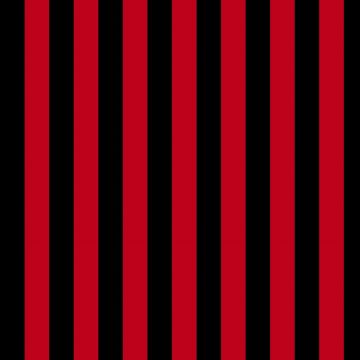 Razo Satín Carnaval Raya Pirata Negro