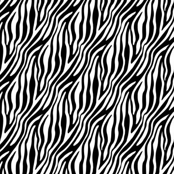 Razo Satín Carnaval Zebra