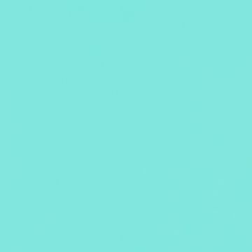 Razo Shantung Liso Verde Menta