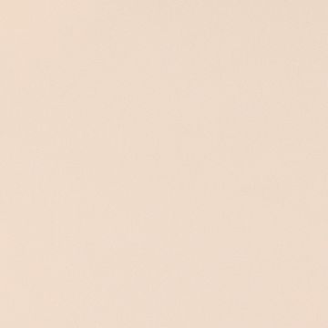 Sarga Escolar Liso Hueso