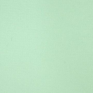 Shiffon Pegasus Liso Verde Menta