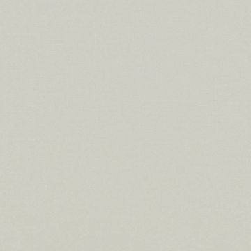 Tafeta Ceremonia Liso Hueso