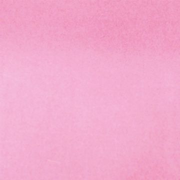 Tafeta Ceremonia Liso Rosa Pastel