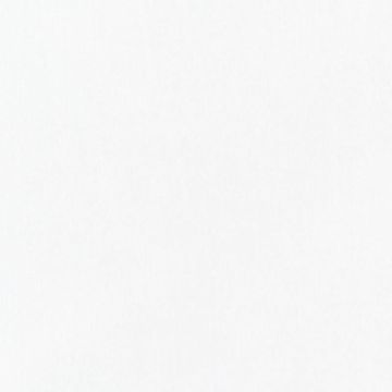 Tafeta Strech Liso Blanco