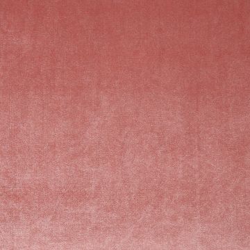 Terciopelo Stretch Liso Rosa Palo
