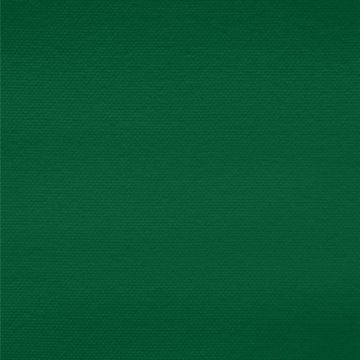 Tergal Liso Verde Bandera