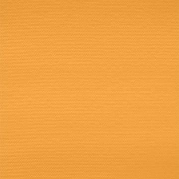 Tergal Liso Amarillo Mango