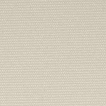 Tergal Tropical Liso Hueso