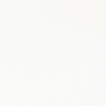 Tul De Novia Liso Hueso