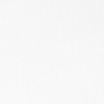 Tul Diamante Liso Blanco