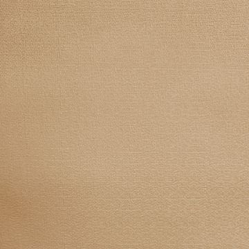 Cortina Olimpia Ahulado Liso Cafe Beige