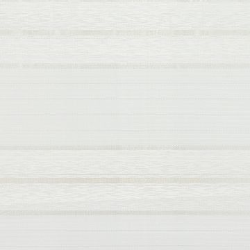 Cortina Fontura Raya Delgada Hueso