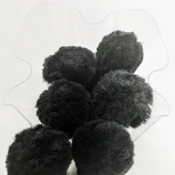 Pom Pom Negro # 35