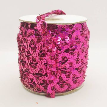 Galón con Lentejuela Fiusha 829